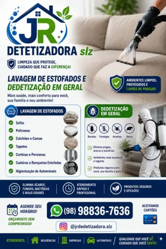 DEDETIZACAO EM GERAL