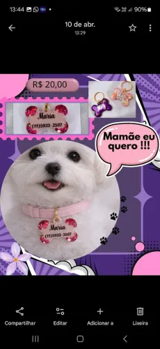 Tags personalizadas pets?