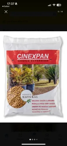 Argila expandida