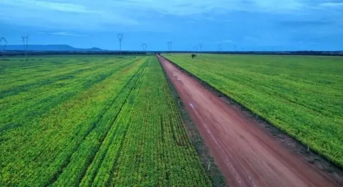 Fazenda a venda, em Santa Rita do Tocantins