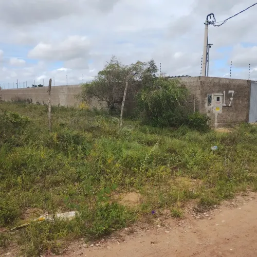 4.000 m² em Pium, Energia e Transformador na Frente, Ideal para Usina Solar.