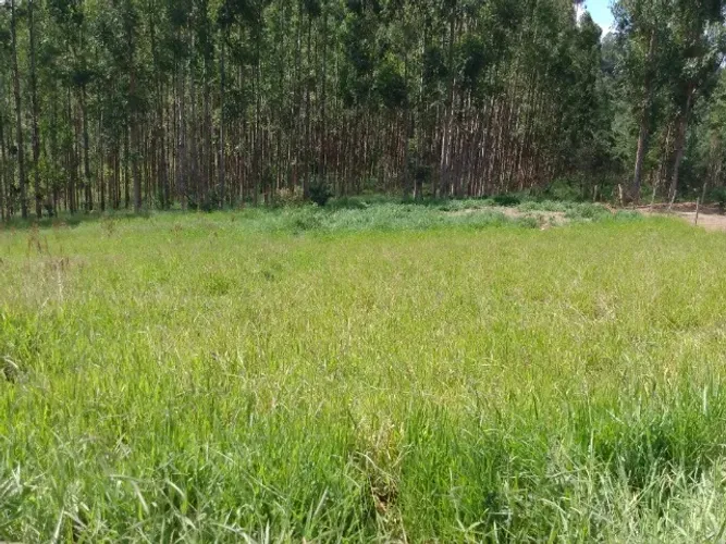 (Vendo urgente)Terreno Residencial de Chacaras Maria Amelia 1000 m2