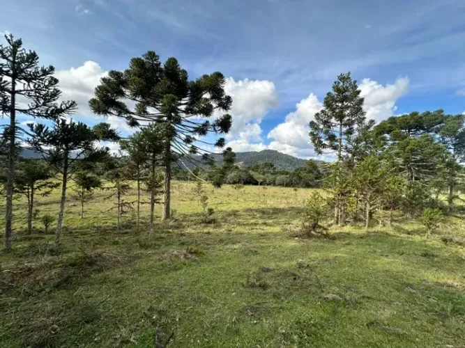 Chácara de 2 hectares à venda em Urubici-SC, Bom Sucesso