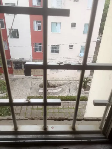 Dividir apartamento com mulher solteira 