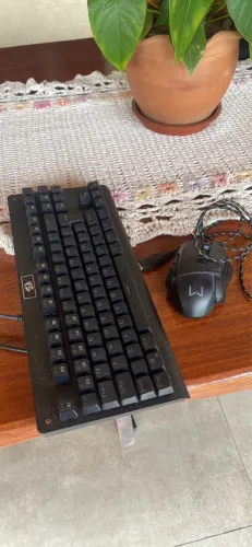 Teclado e mouse