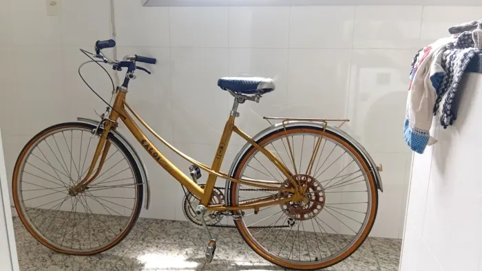 bicicleta caloi