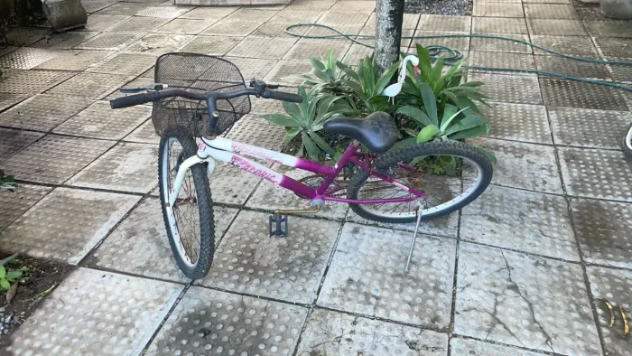 Bicicleta feminina