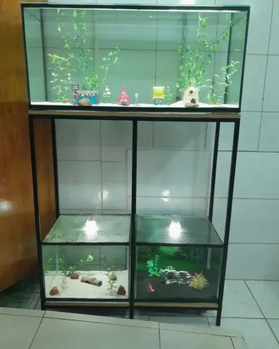 Aquários com base 3 unidades 