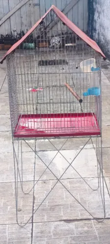 Gaiola para periquito