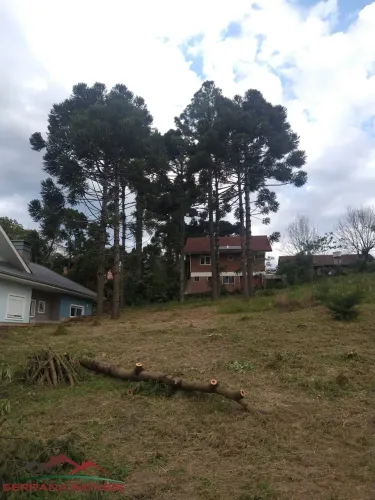 TERRENO RESIDENCIAL em Nova Petrópolis - RS, Bavária