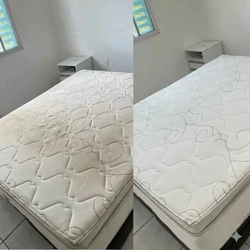 LAVAGEM A SECO COM HIGIENIZAÇÃO