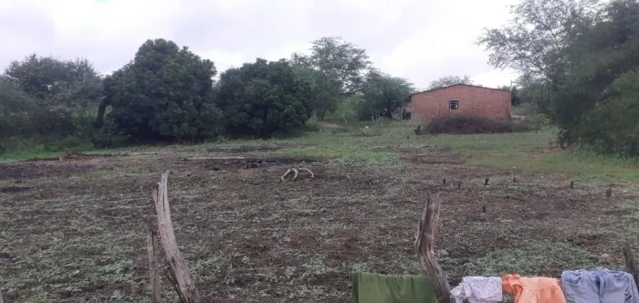 Vende se ou troco terreno no povoado lagoinha em Delmiro Gouveia -AL