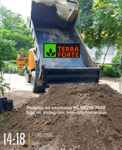 Terra vegetal colhida na mata 