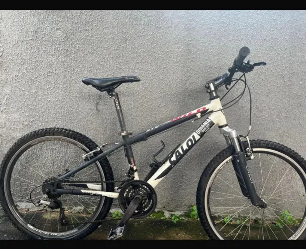 Bicicleta 