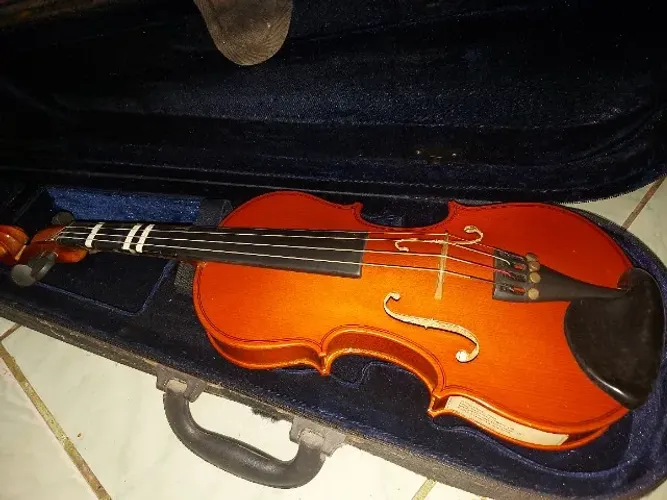 Violino