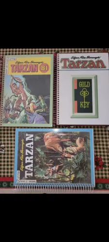 3 livros plastificados c Capas de Tarzan BI Edgar Rice Burrougks ed p colecionadores
