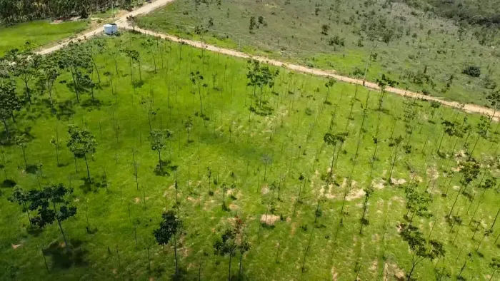 Vendo Terrenos de 20.000m2 com Pagamento Super Facilitado a 85km da Ceasa