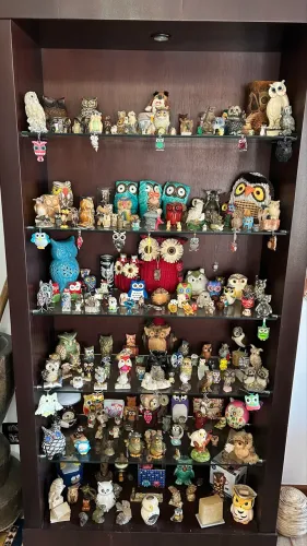 Coleção de corujas ?
