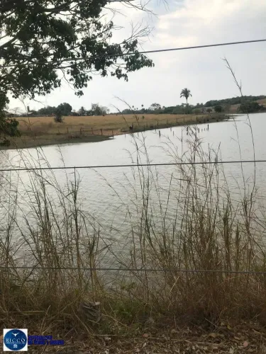 Fazenda à Venda em Nova Crixás - GO | 124,5 Alqueires