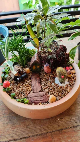 Terrário e vasos com plantas 