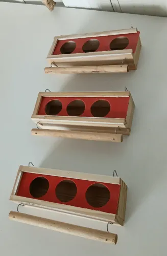 coinhos de pasaros