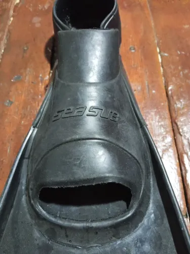 Pé de pato