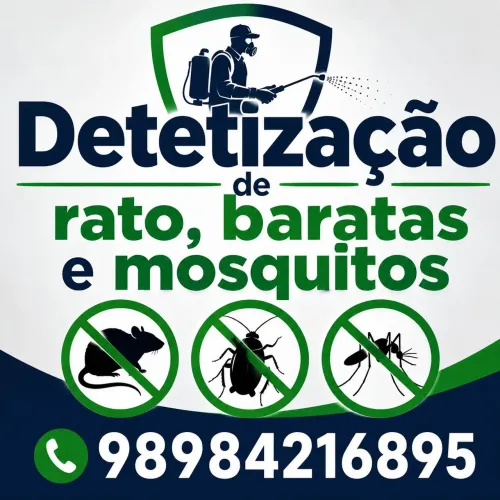 DEDETIZAÇÃO EM Geral 