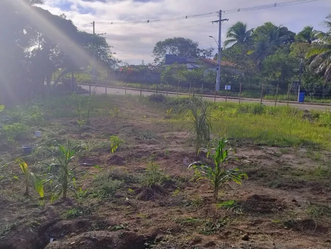 Vendo Terreno Amplo de 900 m² (15x60) - Ótima Localização