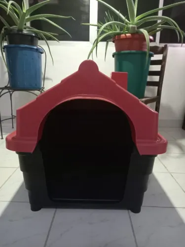 Casinha Cachorro Cães Plástica Numero 6 Cor Vermelho