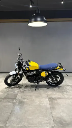 BEAR WILD HONEY 650c