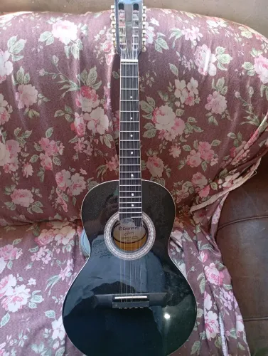 Viola caipira acústica 