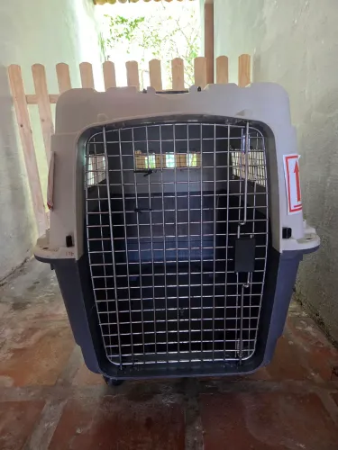 Caixa de Transporte para cachorro