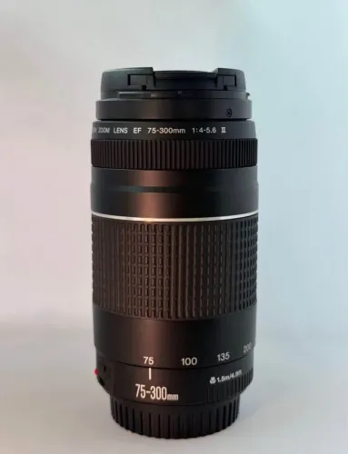 Lente Canon 75-300mm