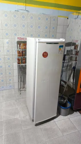 Freezer vertical 220v ótimo estado