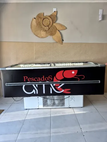 Ilha freezer FRICON (na garantia)