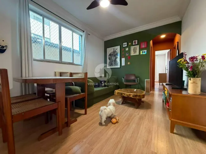 Apartamento 2 Dormitórios, Excelente Localização no Campo Grande - Santos SP