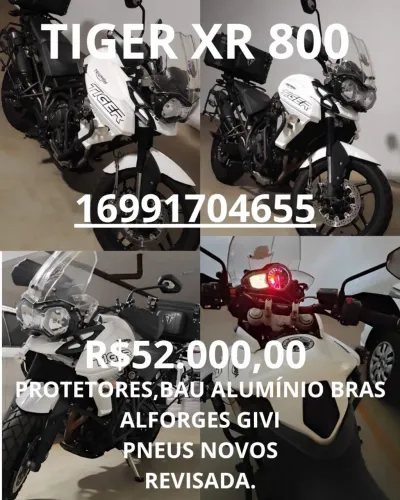 TIGER XR800 