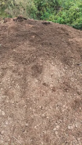 Esterco de cavalo adubo