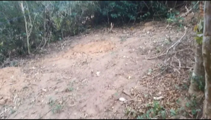 limpeza de terreno e jardinagem.