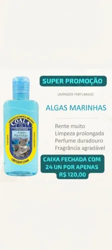 Caixa fechada coala com 24 unidades