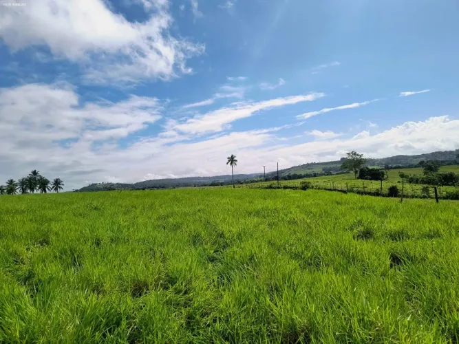 Fazenda para Venda em São Sebastião do Passé, Carijó
