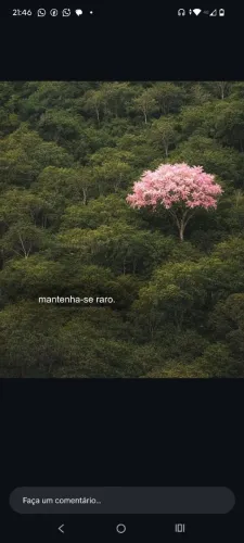 Cuidadora 