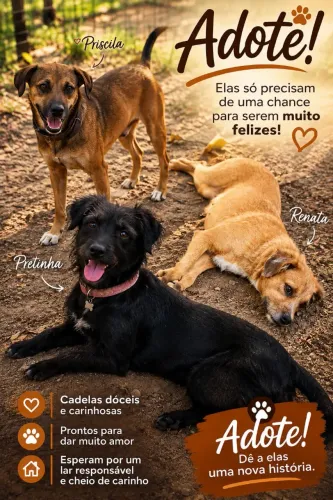 Adoção RESPONSAVEL