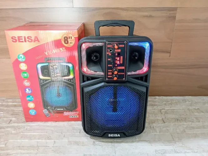 Caixa de Som Bluetooth Com Luzes Led Usb Microfone 8 Polegadas