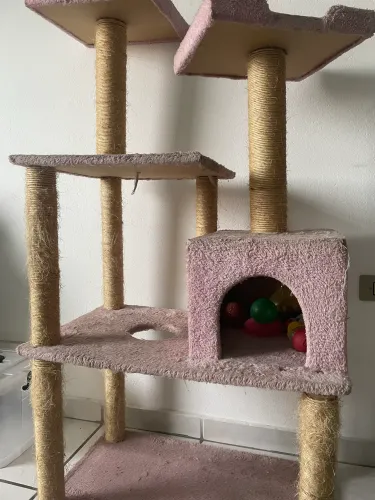 Arranhador de gato
