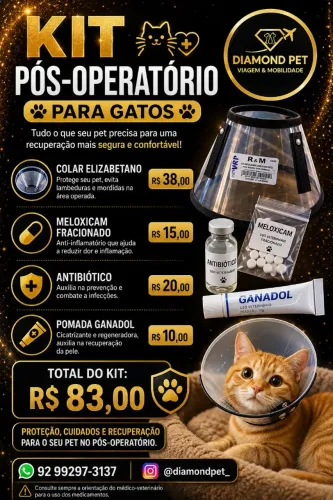 Kit Pós-Operatório para Gatos | Colar Elizabetano e Cuidados