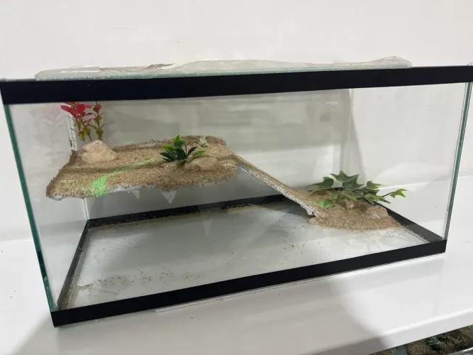 Terrário com plataforma decorada novo aquaterrario 