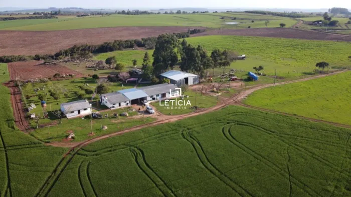 185 hectares com produção de soja e trigo!!