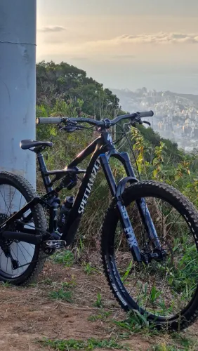 Specialized Enduro Elite Carbon 29