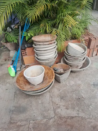 Caqueiro vaso de planta 